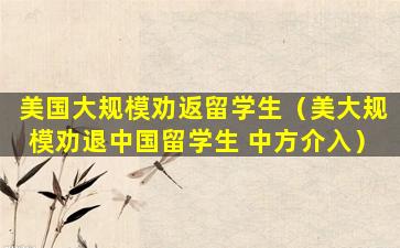 美国大规模劝返留学生（美大规模劝退中国留学生 中方介入）
